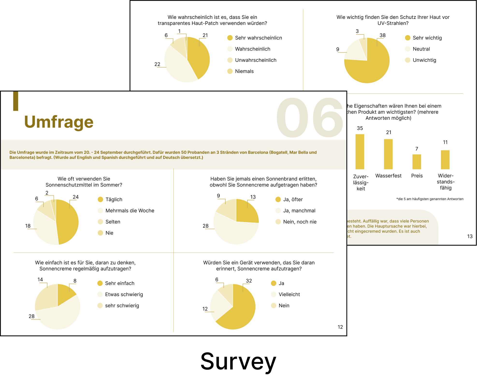 Survey